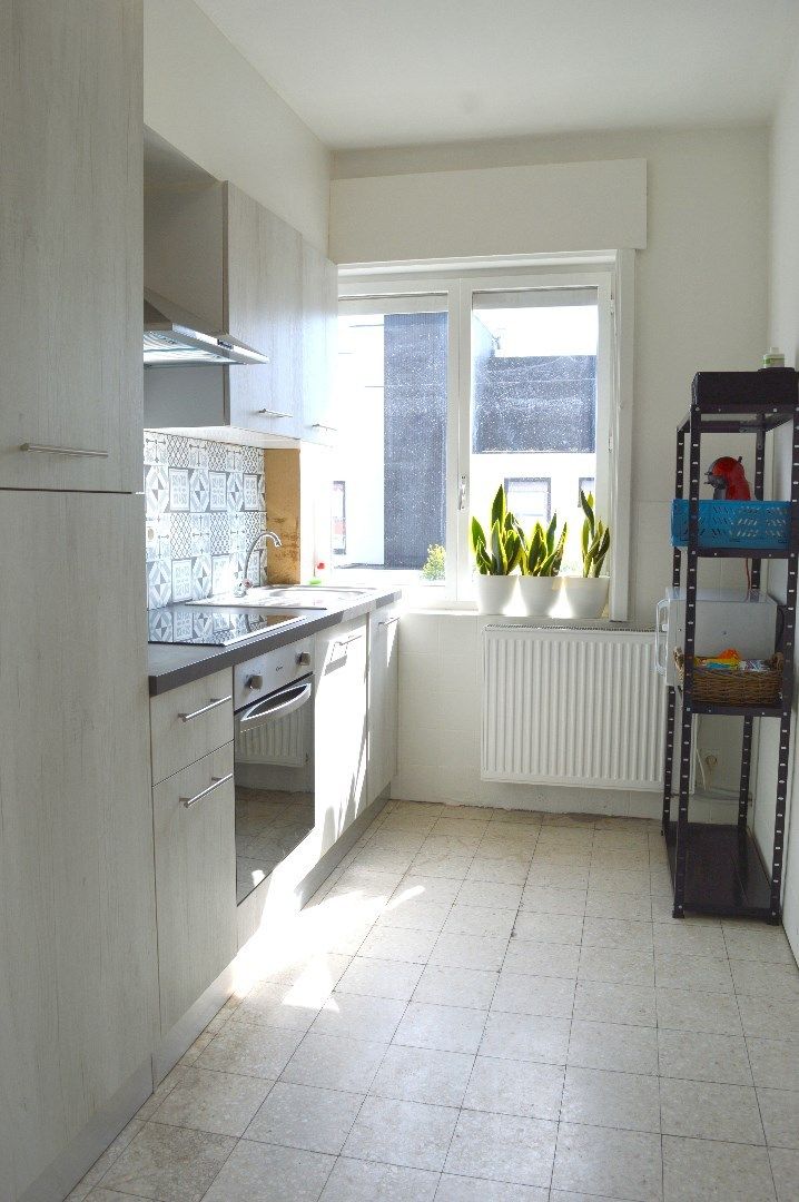 Verzorgd 1 slaapkamer appartement te Bissegem foto 4
