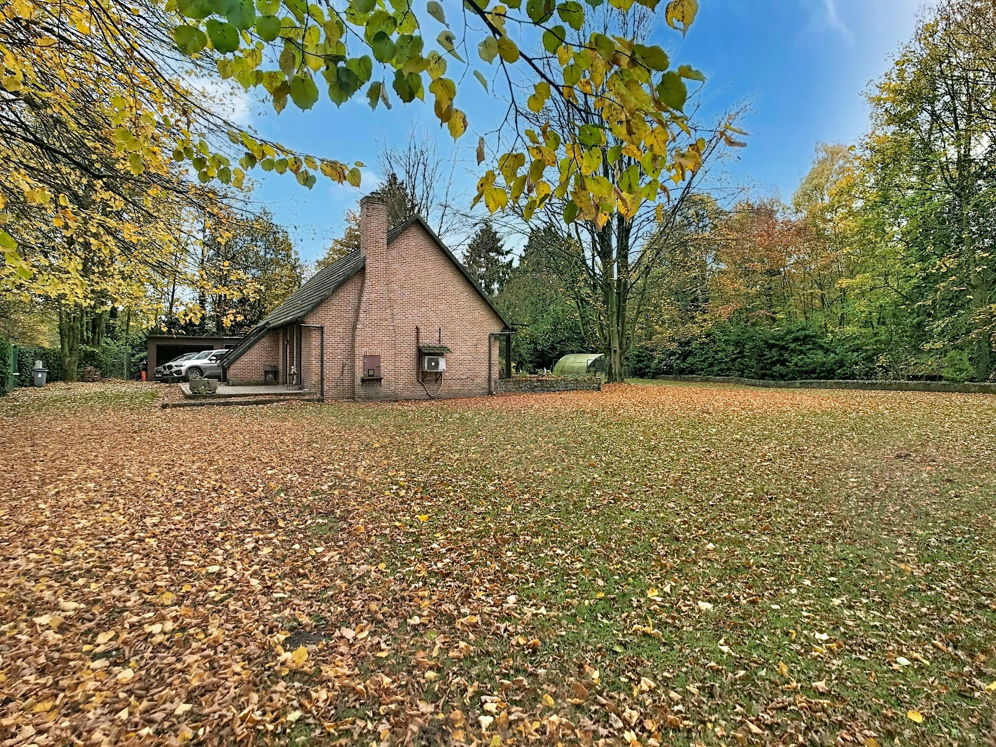 Ruime vakantiewoning op groot open perceel in bosrijk gebied foto 22