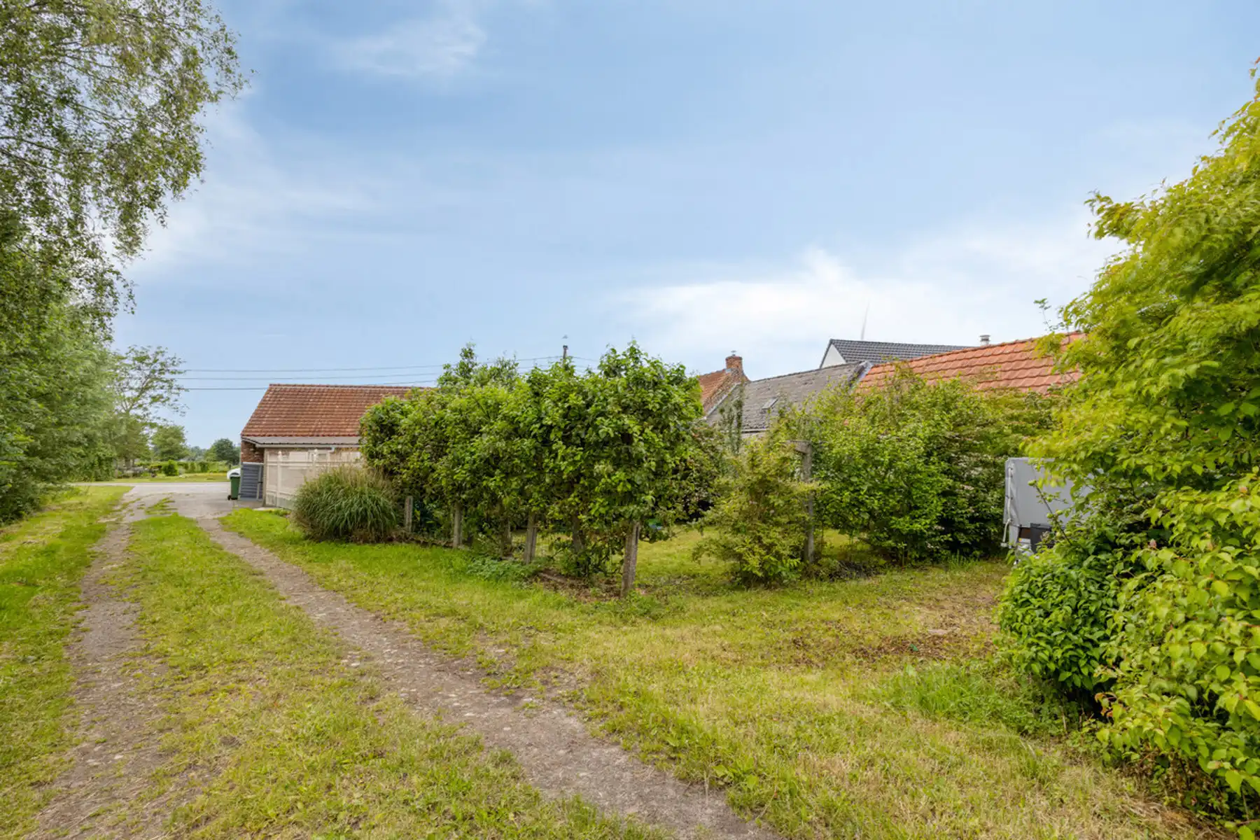 Boerderij te koop foto 14