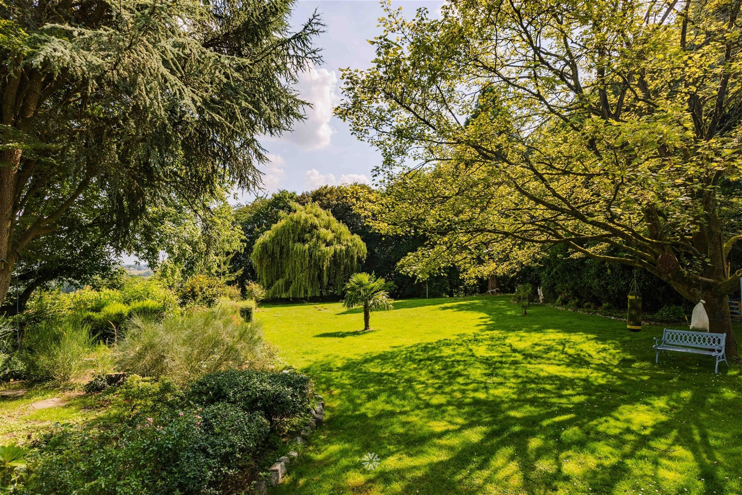 Uniek gelegen landgoed met gite midden de bossen foto 25