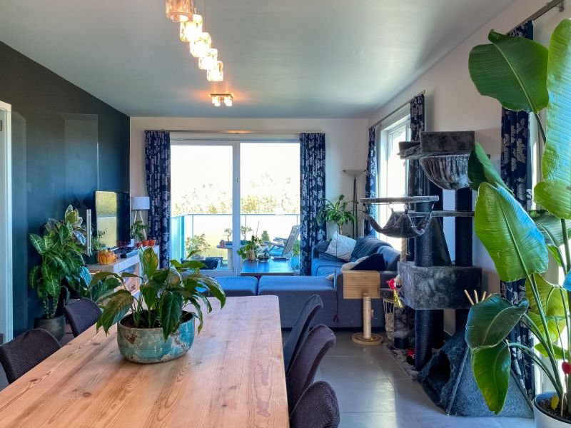 INSTAPKLAAR LUXE-APPARTEMENT IN GROENE OMGEVING foto 2