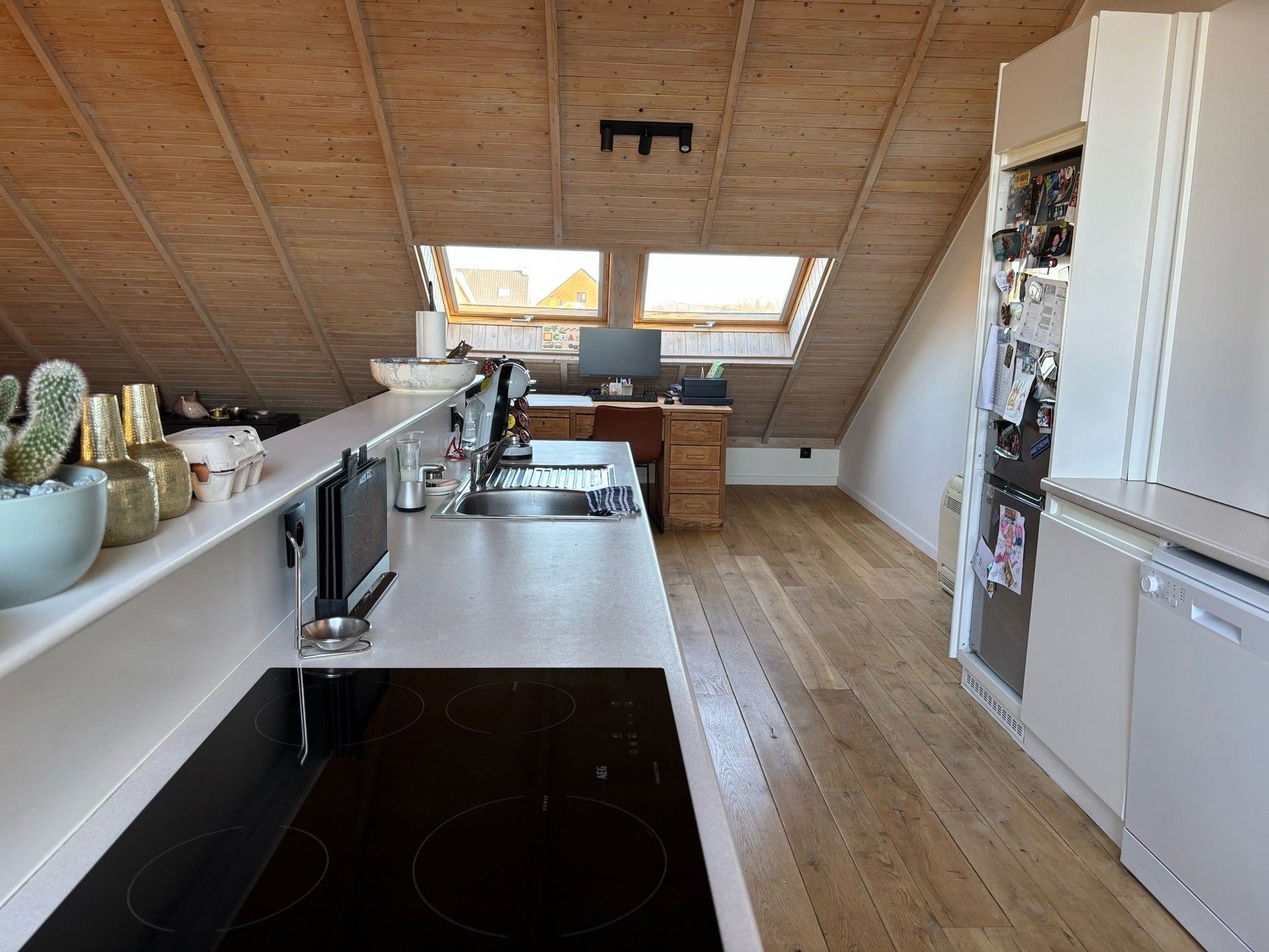 SERSKAMP - Luxueuze loft met groot terras. foto 4