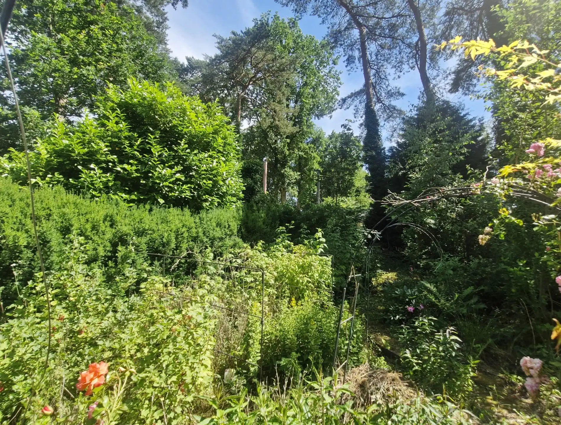 Huis te koop foto 19