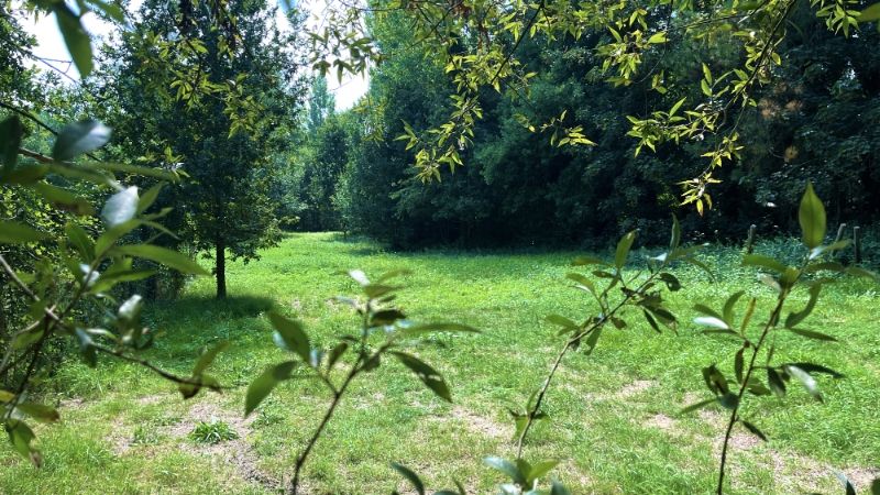 TE KOOP – Uniek stuk bouwgrond in de bossen van Lembeke – >15.000 m² foto 6