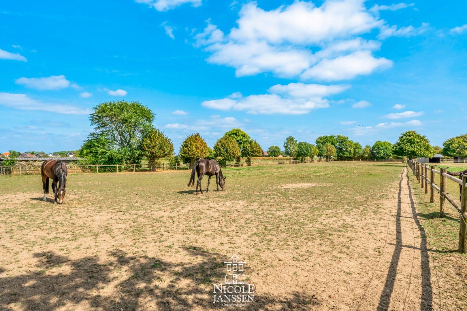 Moderne riante woning met paardenstallen en uitgestrekte weiden foto 31