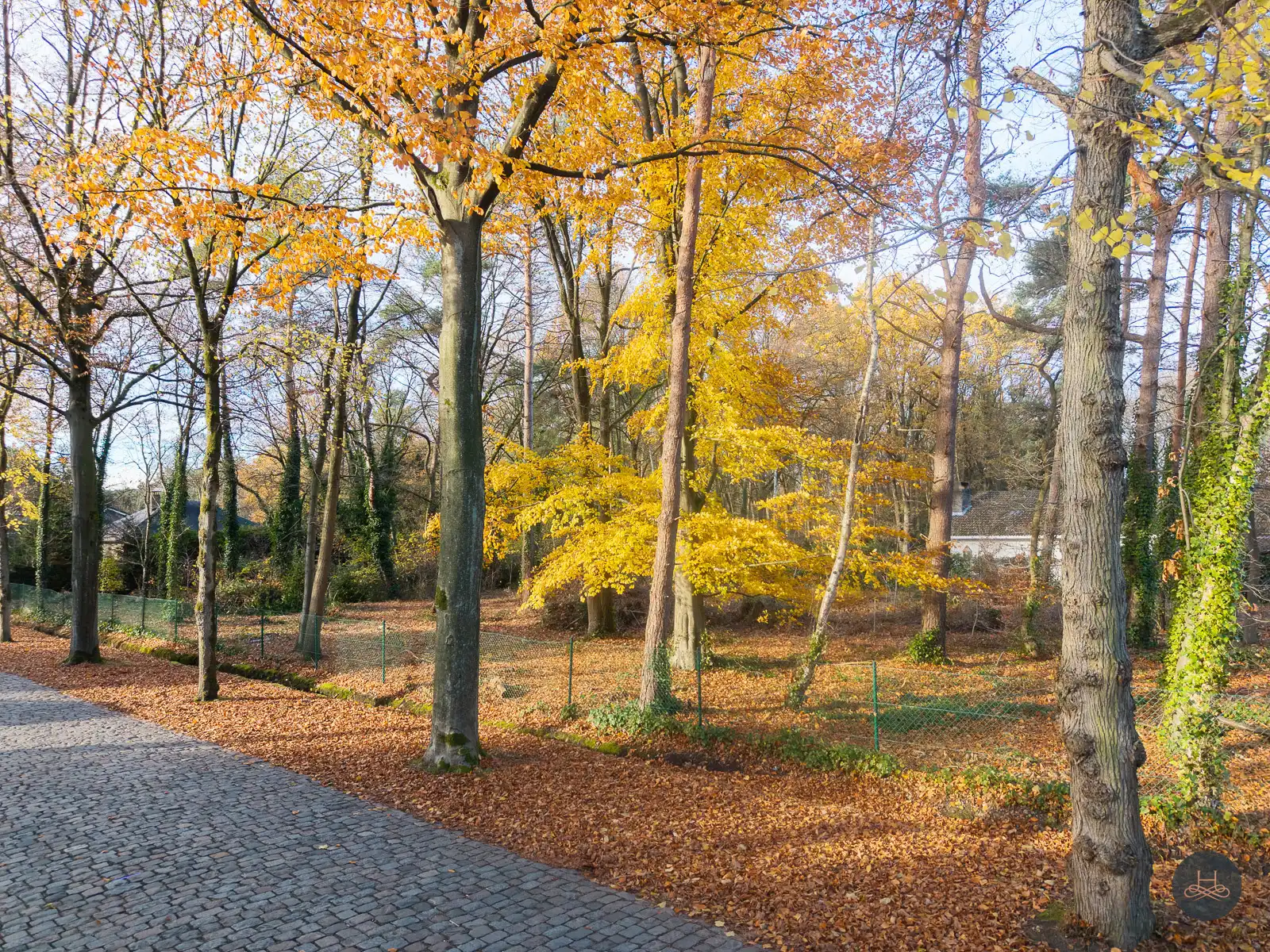 Uitzonderlijke bouwgrond voor open bebouwing in prestigieuze villawijk te Brasschaat foto 3