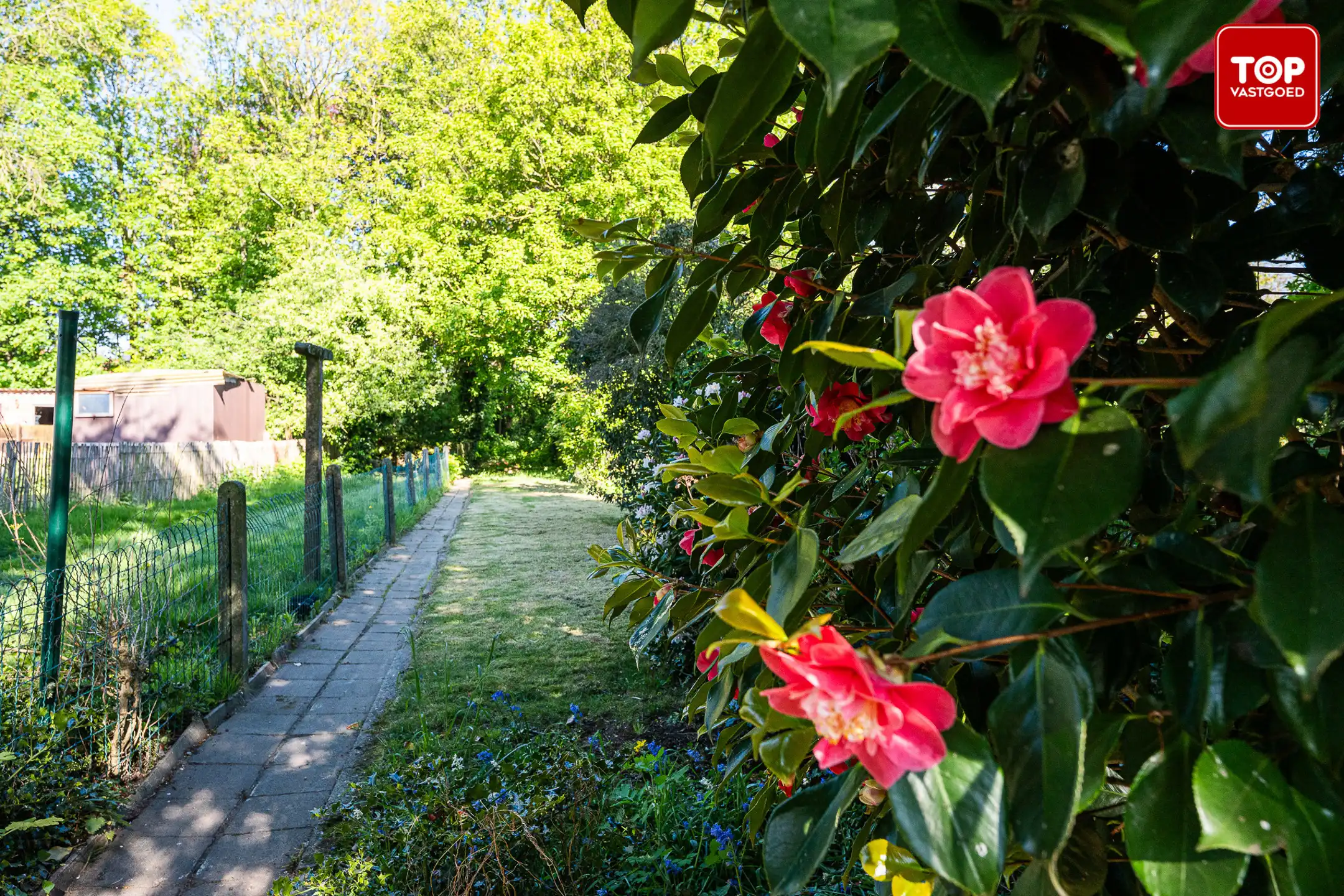 Woning met 3 slaapkamers en tuin foto 24
