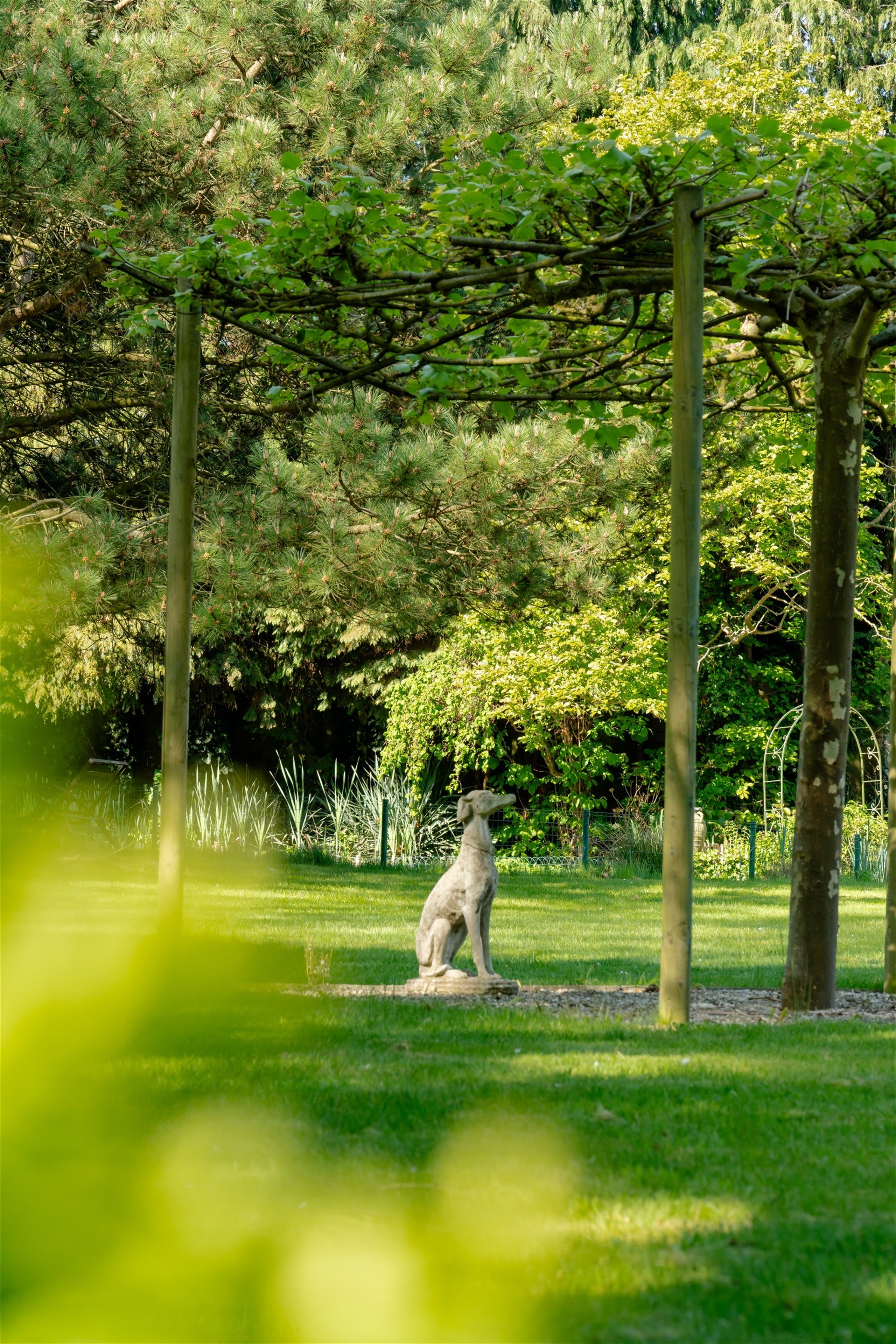 Opportuniteit! Eigendom op 1 Ha met buitengewone privileges foto 19