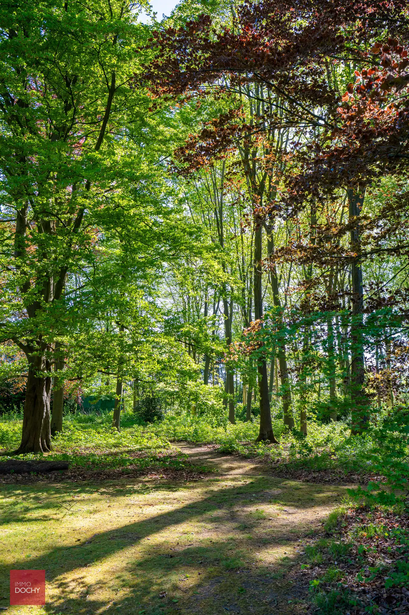 Uniek domein met ruime villa in prachtige parktuin op 2,7ha foto 22