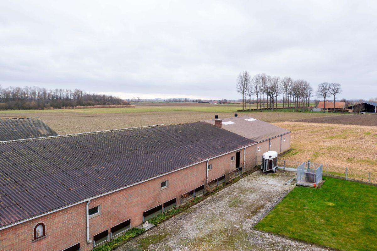 Varkensbedrijf te koop te Leisele foto 5