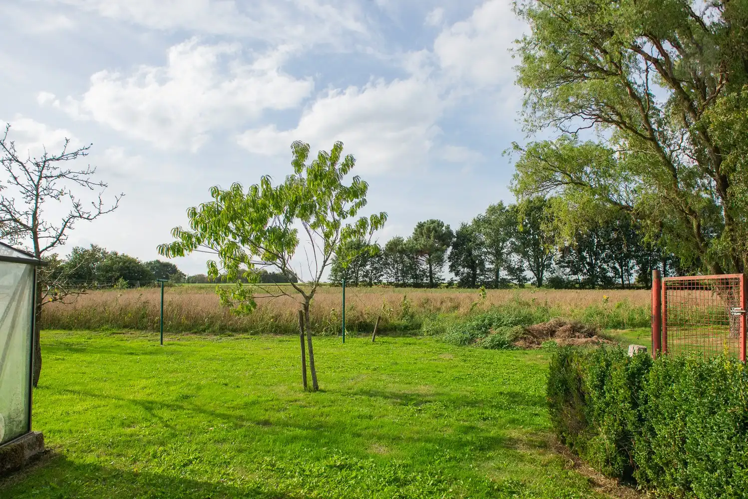 Ruime gezinswoning met 4 slaapkamers op uitzonderlijk perceel van 1,32 ha in Meerhout foto 35