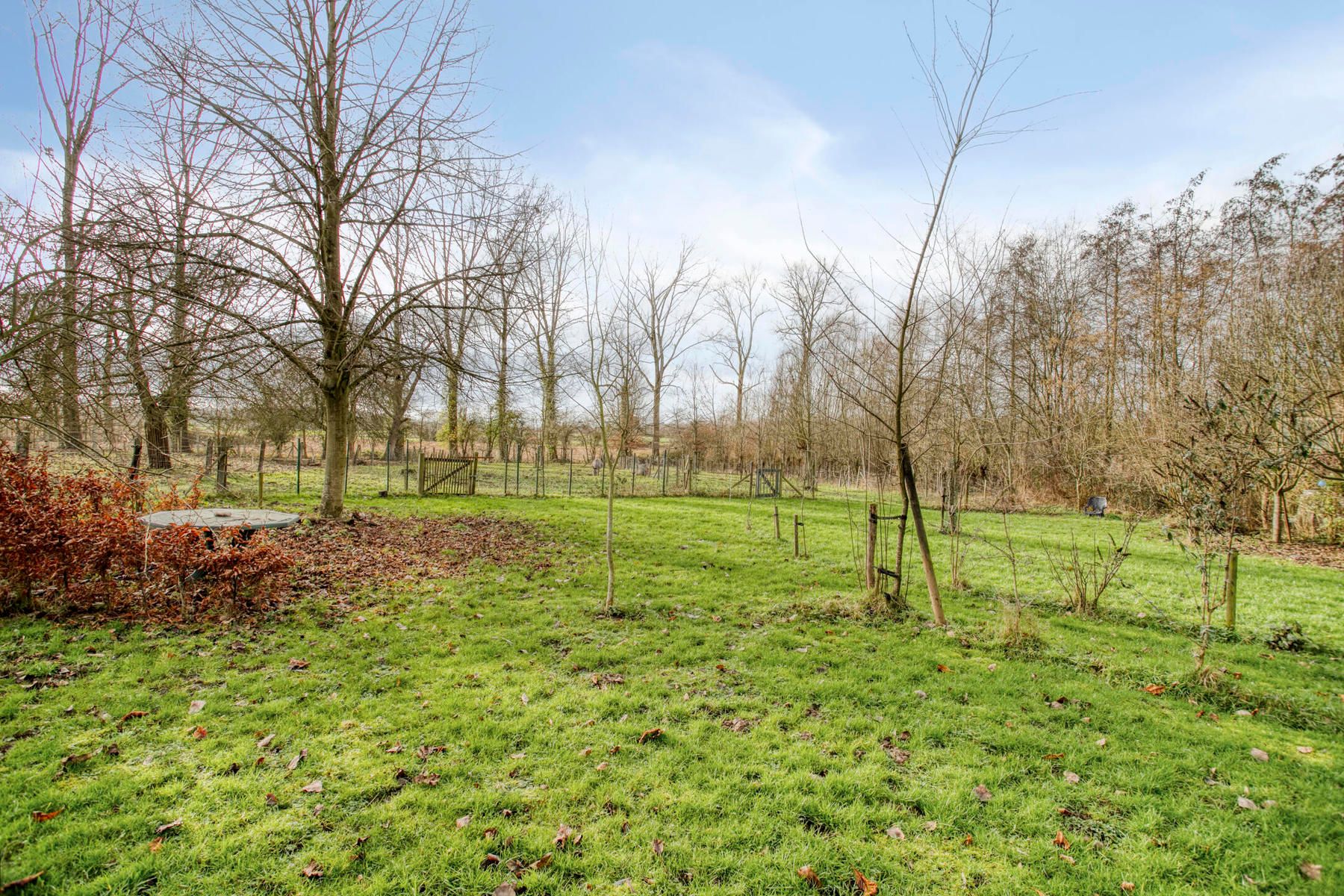 Open bebouwing op 8035 m² met idyllische ligging foto 26