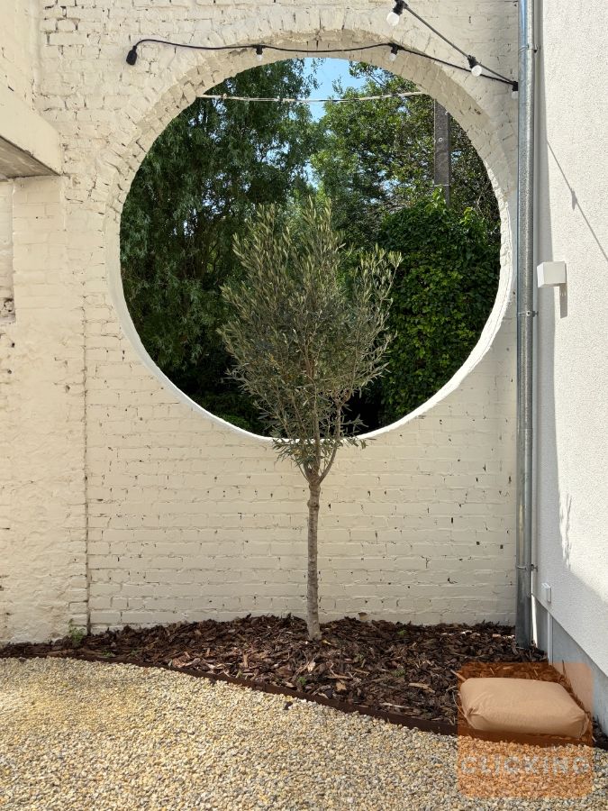 Slim wonen in stijl: volledig gerenoveerde woning in het groene Borchtlombeek foto 13