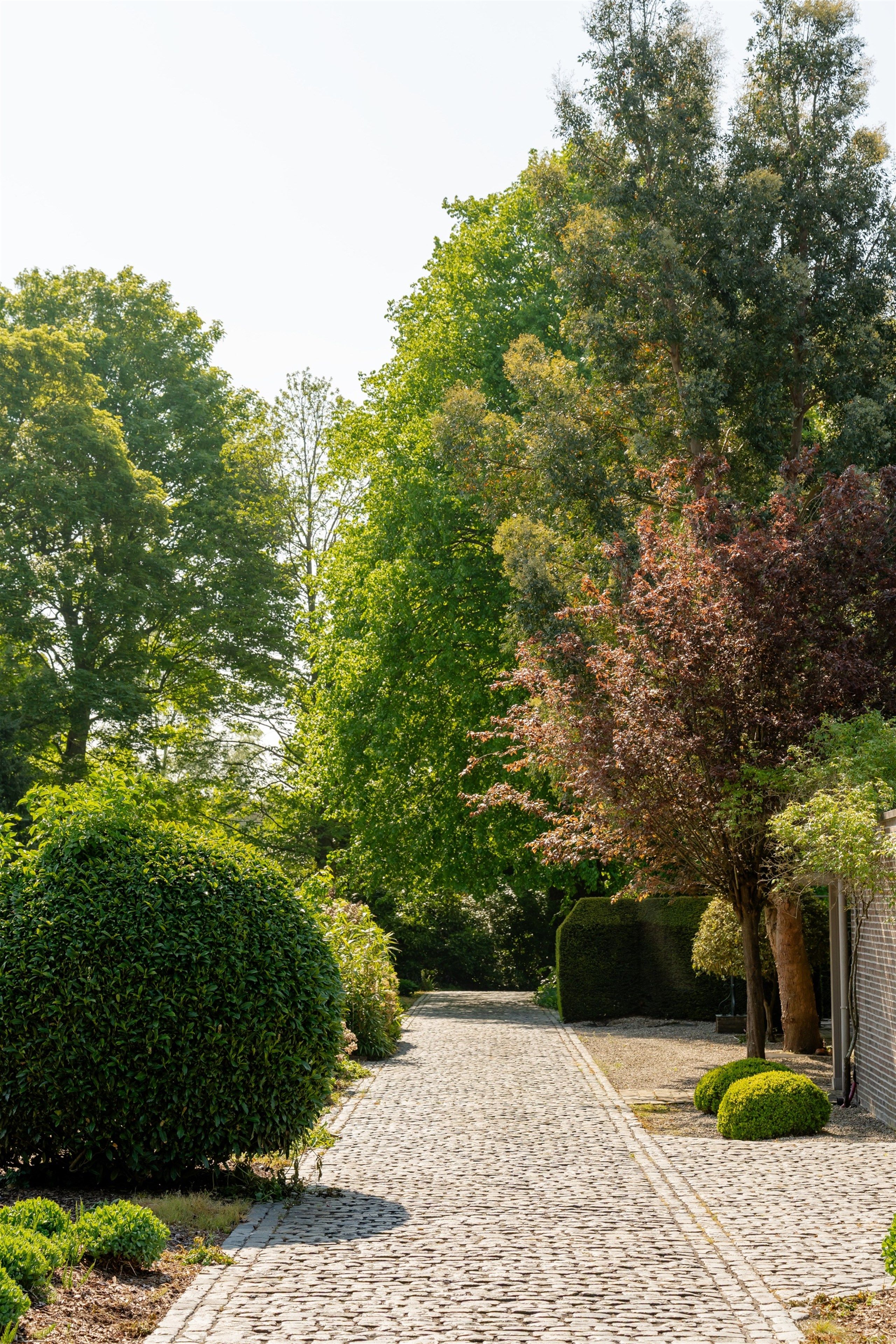 Opportuniteit! Eigendom op 1 Ha met buitengewone privileges foto 21