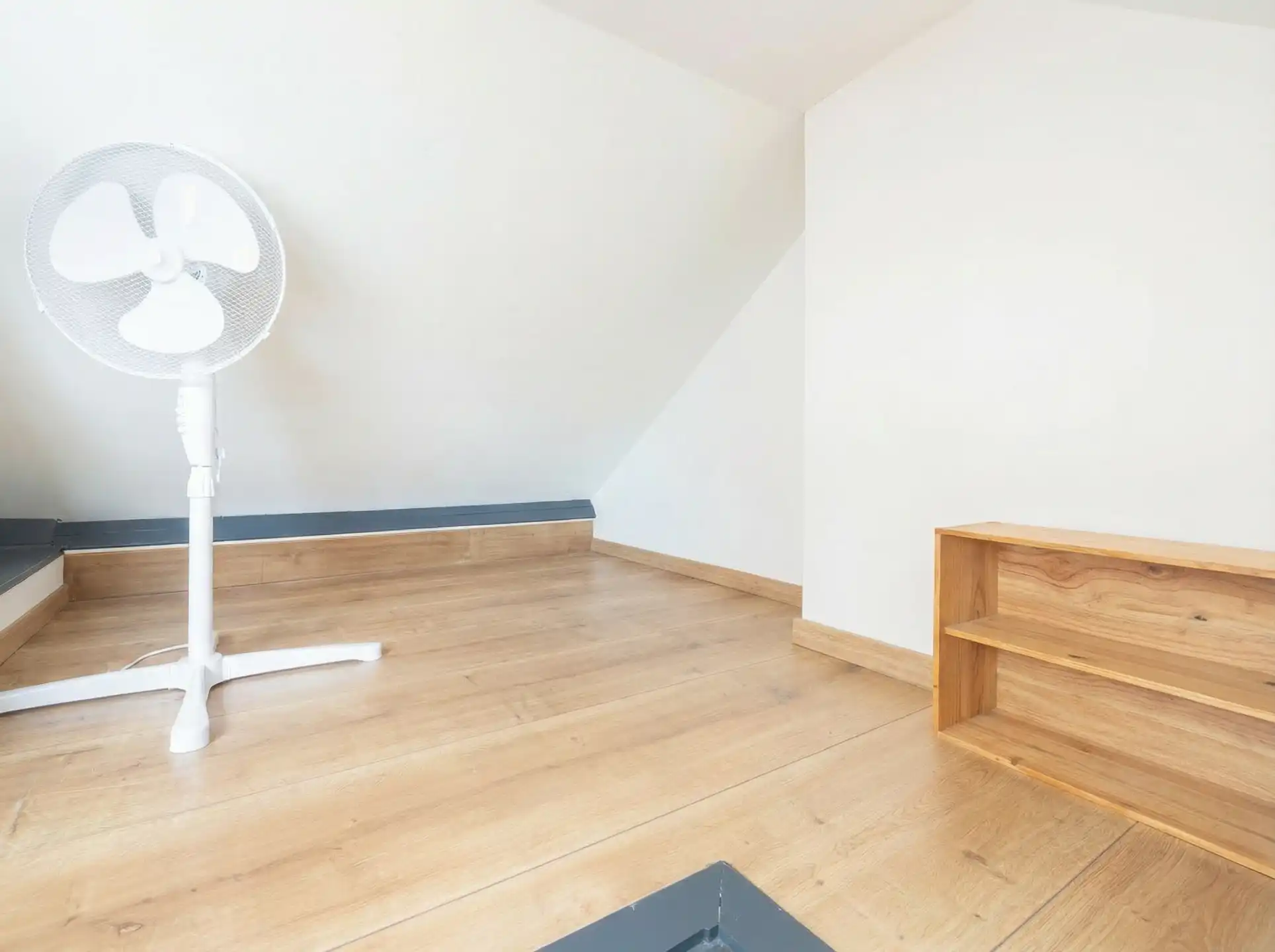 Een architecturaal parel van Léon Delune foto 29