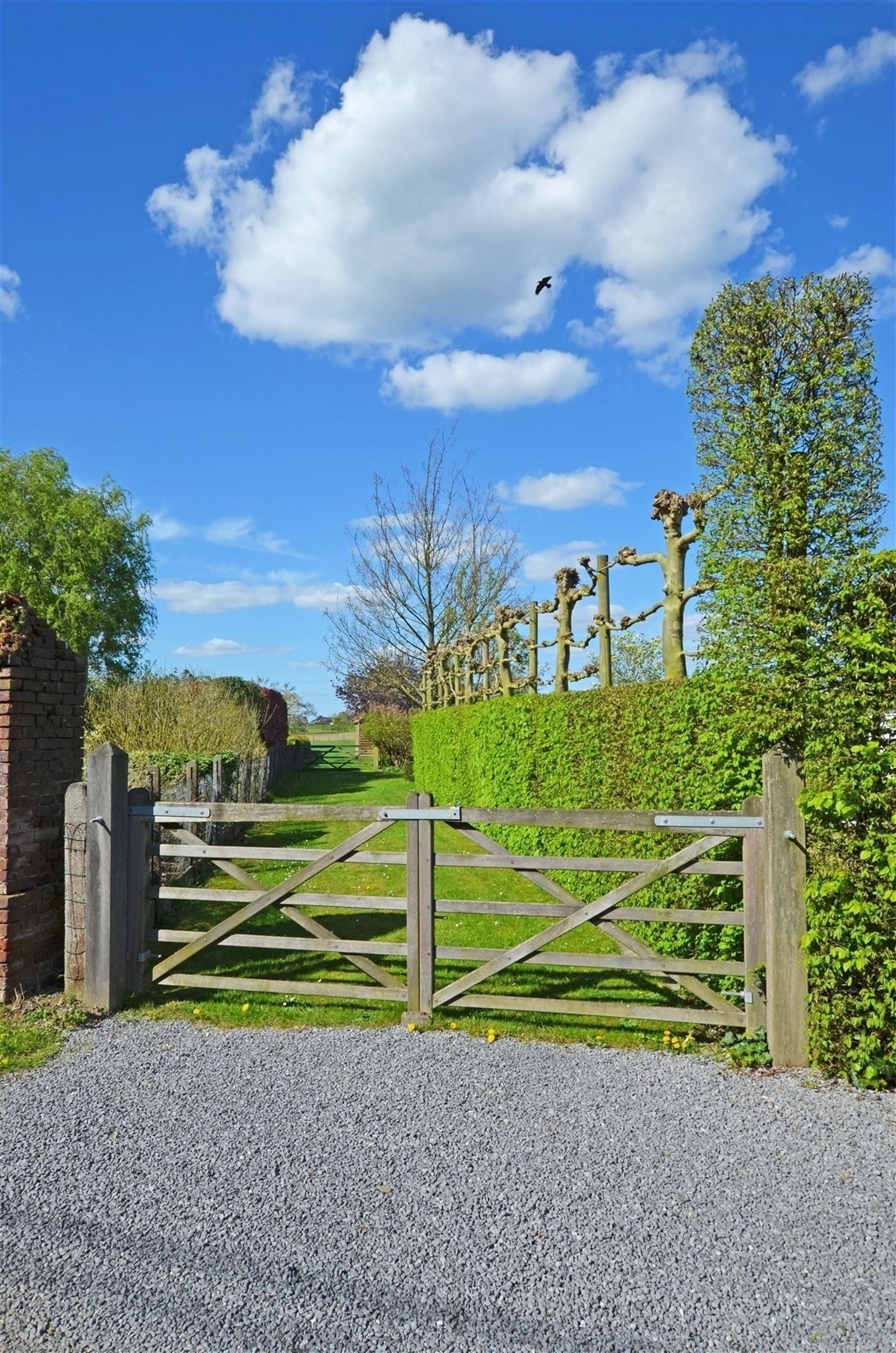 Landelijk gelegen vierkantshoeve op ±1.4Ha foto 31