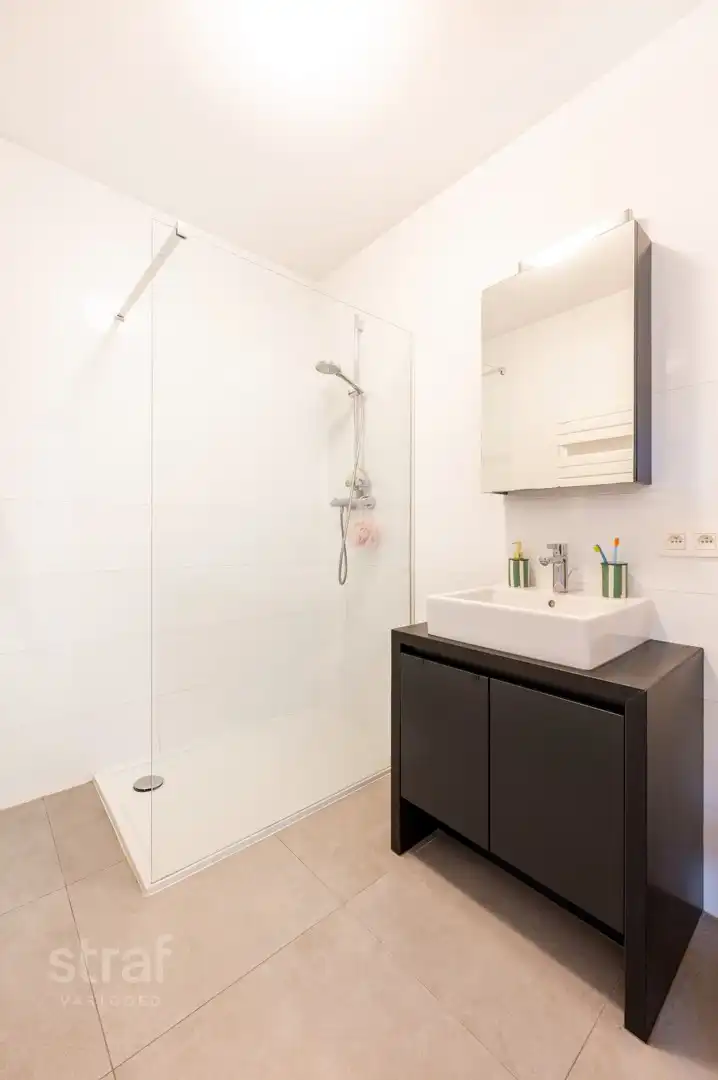 Twee slaapkamers, autostaanplaats, Galgenweel én hartje Antwerpen op één plek foto 11