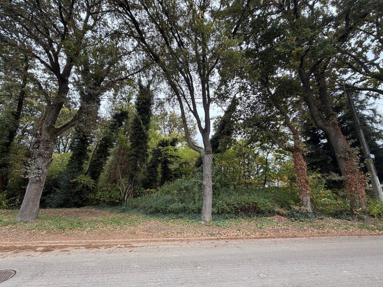 Genk, Oude Hoevestraat 46-48-50: Exclusieve bouwgrond van 17a 99ca en 38,60m breed ! foto {{pictureIndex}}