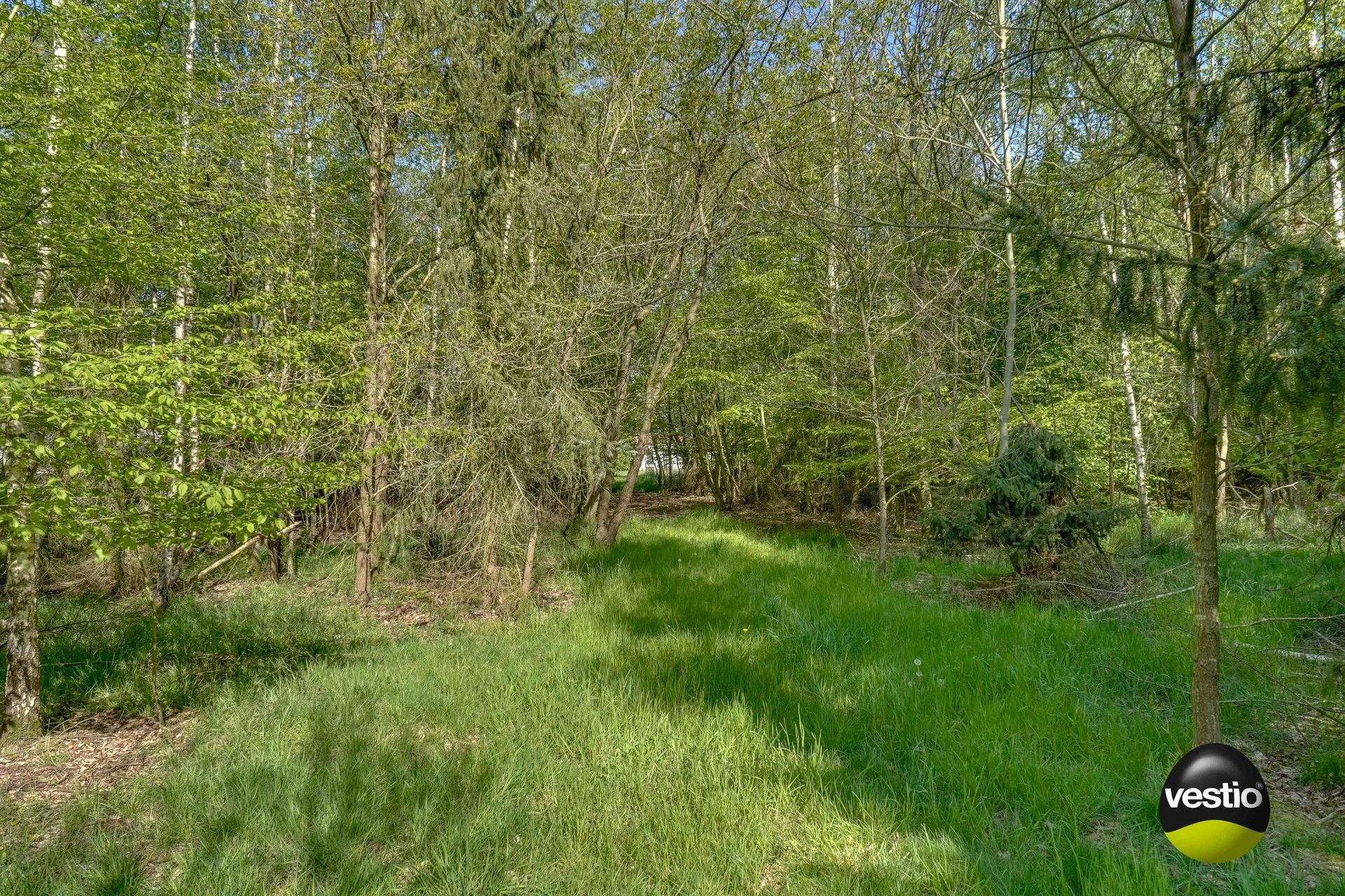 DEGELIJKE WONING MET WEILANDEN OP 1,7 HECTARE foto 15