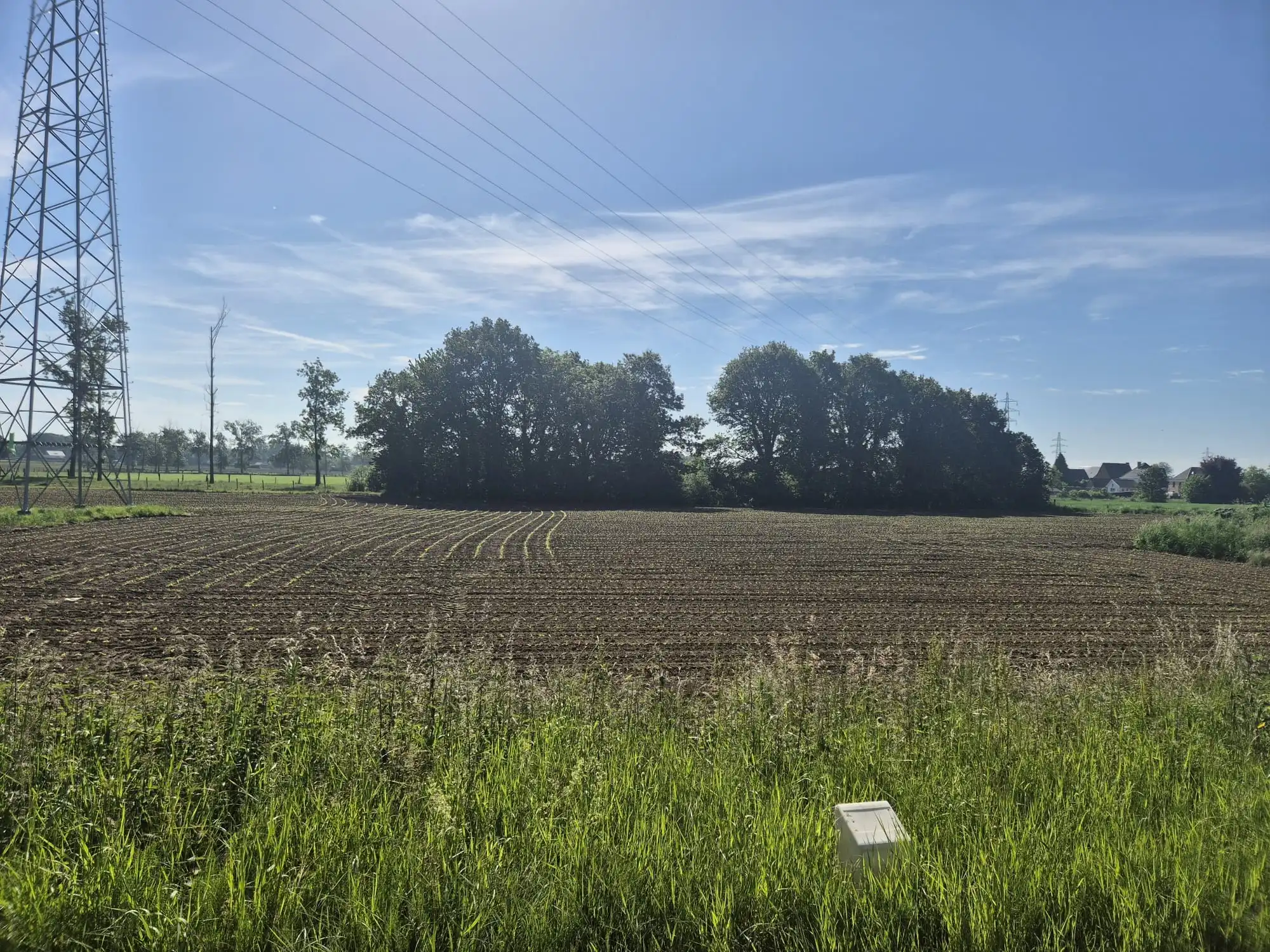 Prachtig stuk weiland te koop foto 2