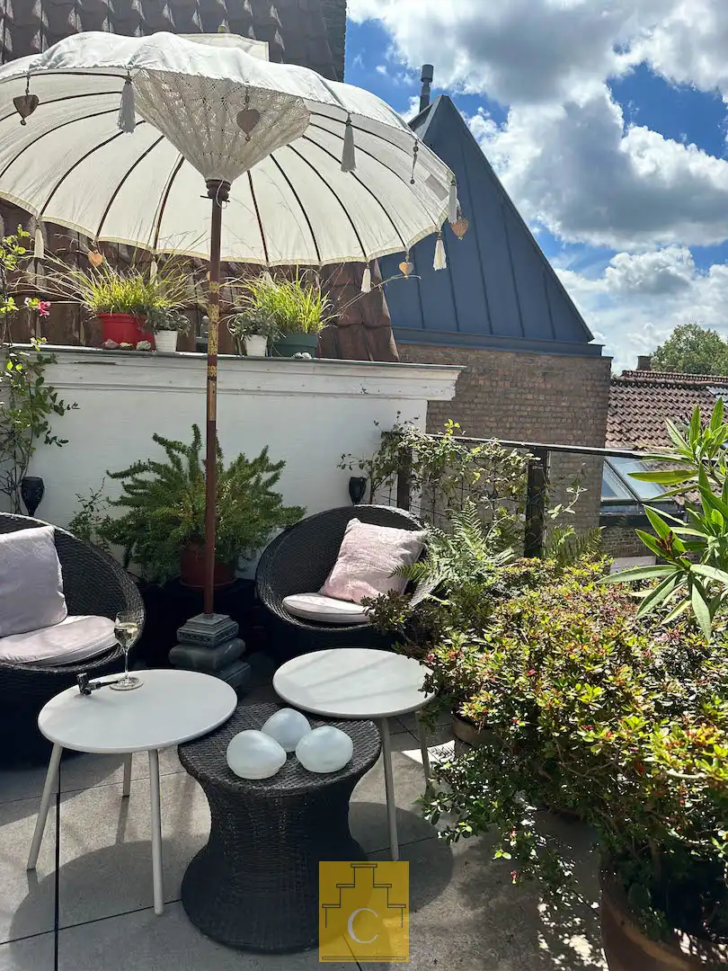 knap dakappartement in 19e eeuws herenhuis met zonnig terras en adembenemende uitzichten foto 7