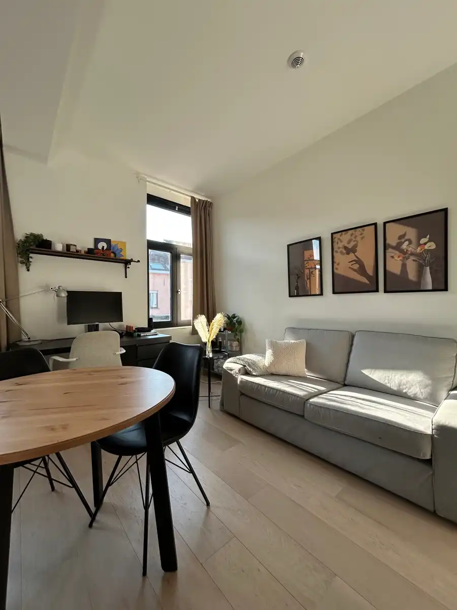 Bemeubelde studio met privatief terras. foto 3