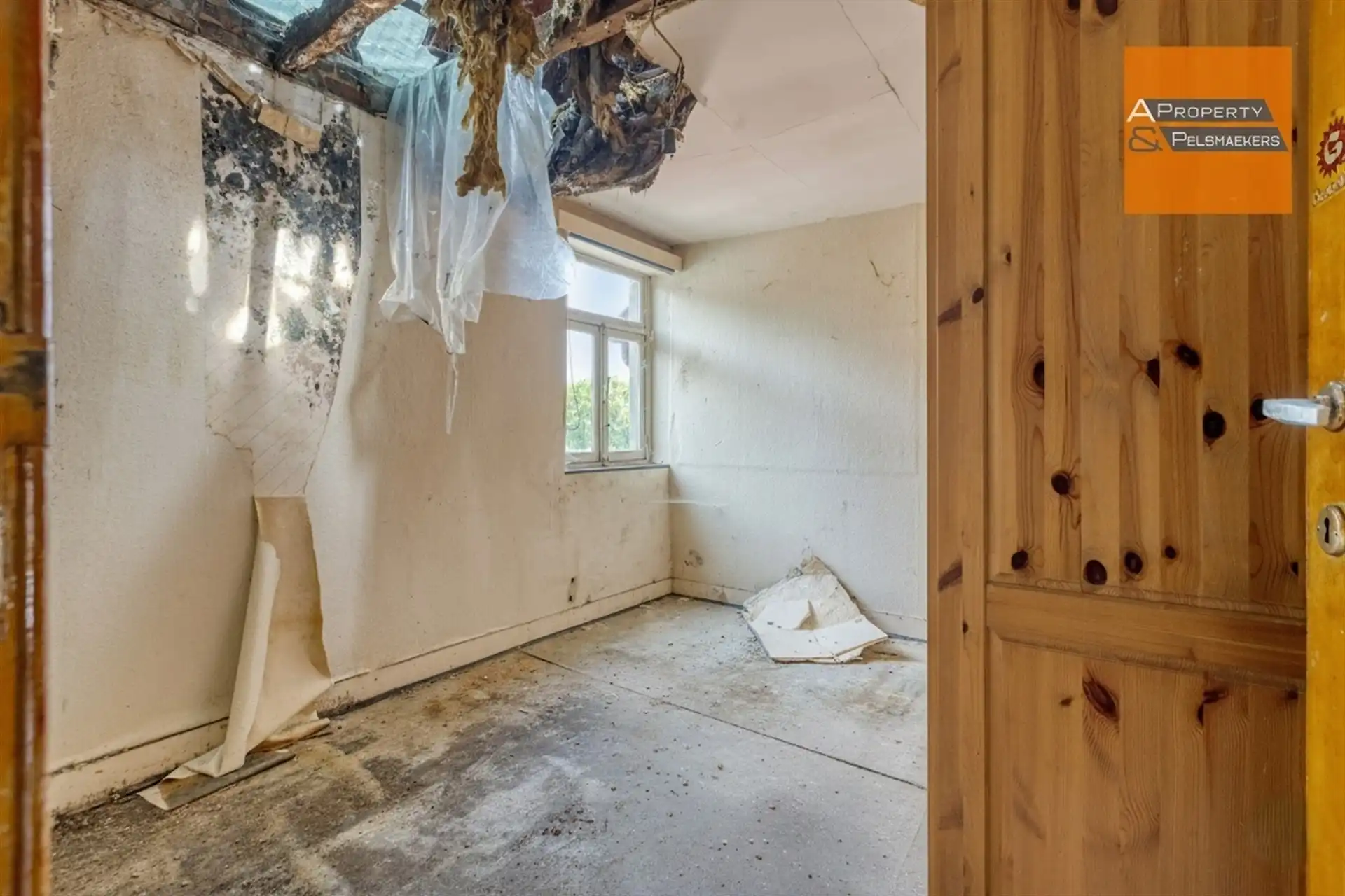 Huis foto 12