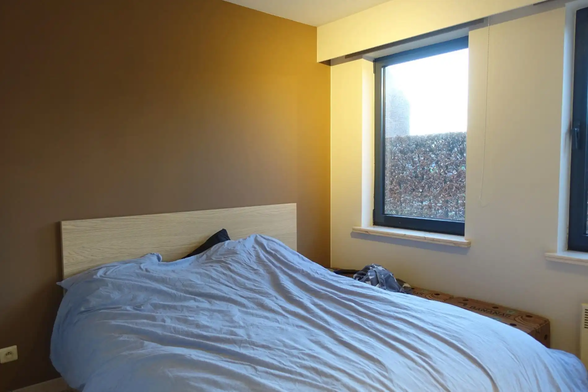 Gezellig appartement op uitstekende ligging met zonnige tuin foto 9