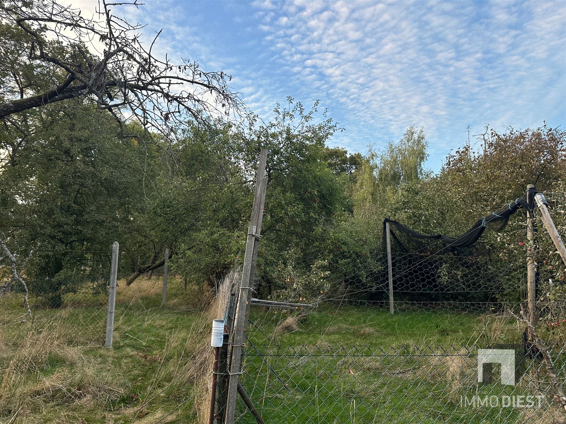 Landhuis met karakter en ruimte (min. 4 slpks) foto 34