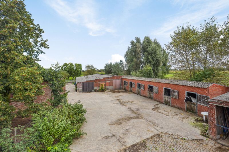 Te koop in het rustige Kruisem: een uniek domein van 5 hectare! foto 4