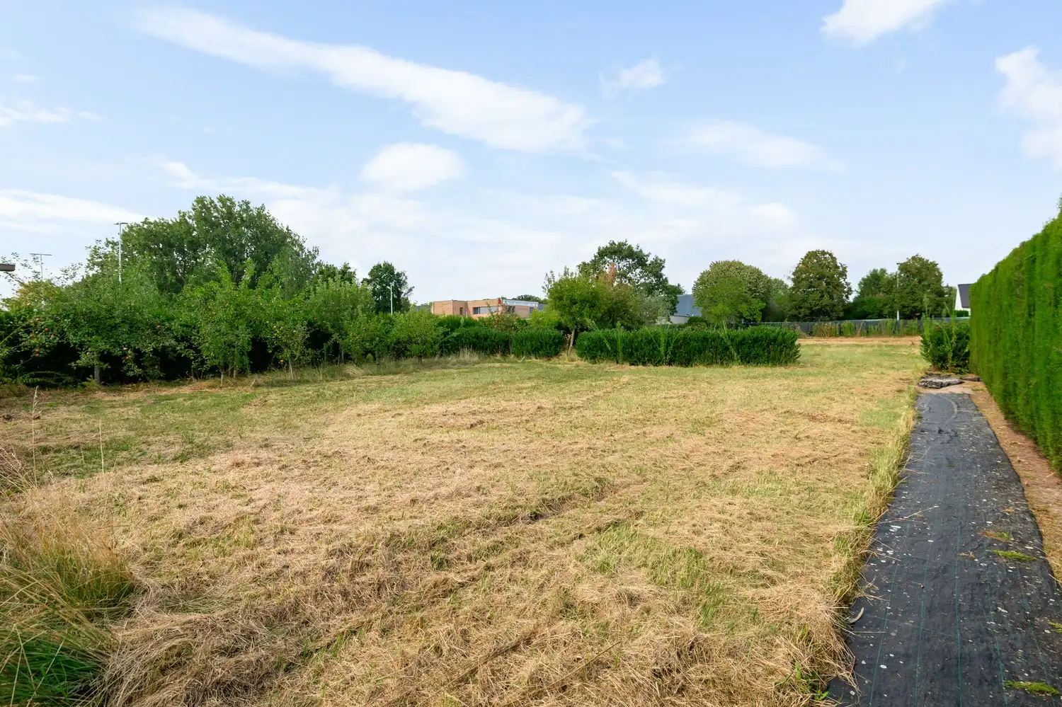 Ruime woning met 3 slpkrs en bijgebouw op perceel van 1547m² te O.L.V.-Waver foto 38