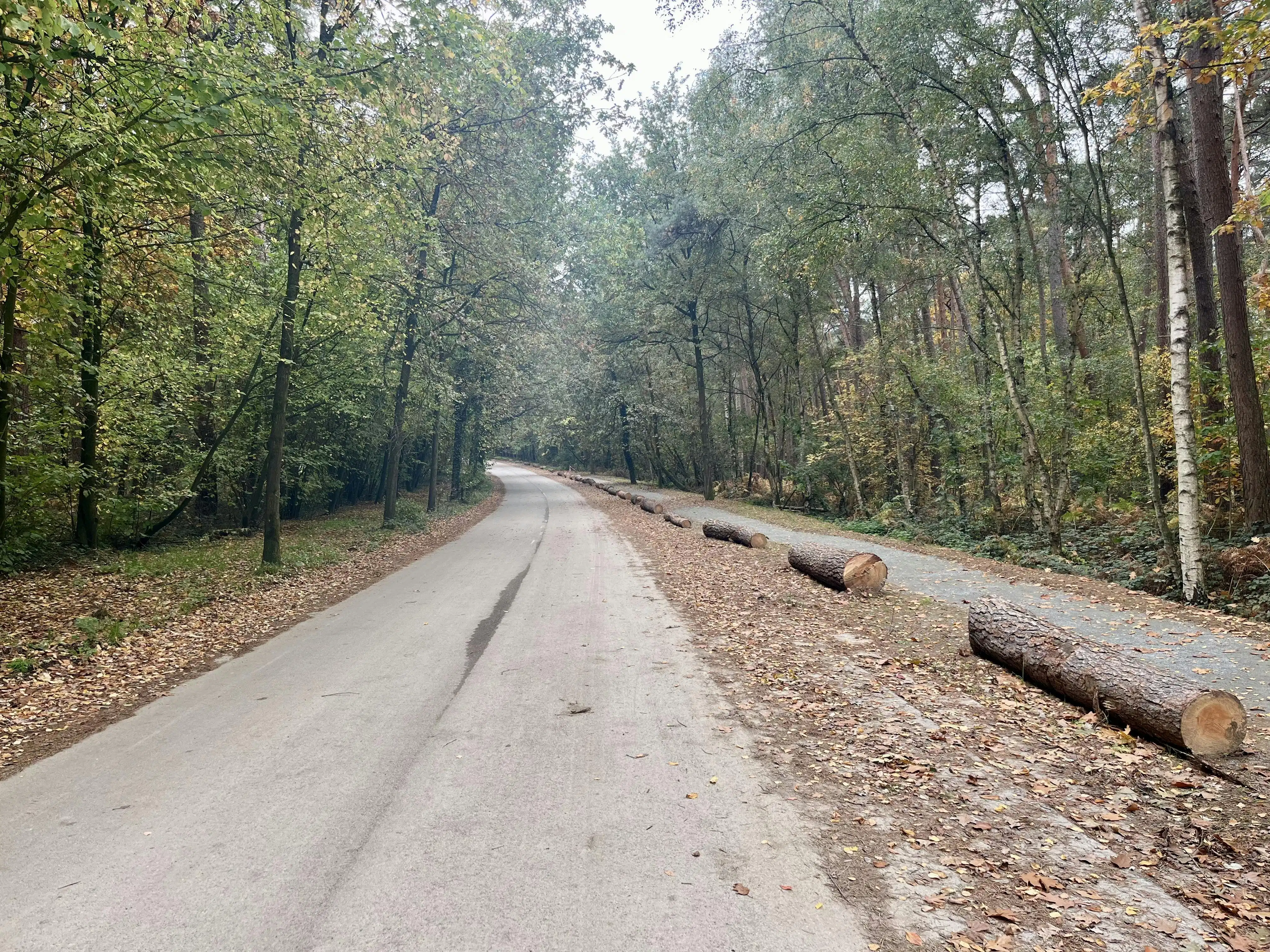 Perceel bosgrond te koop in Zoerselbos foto 11