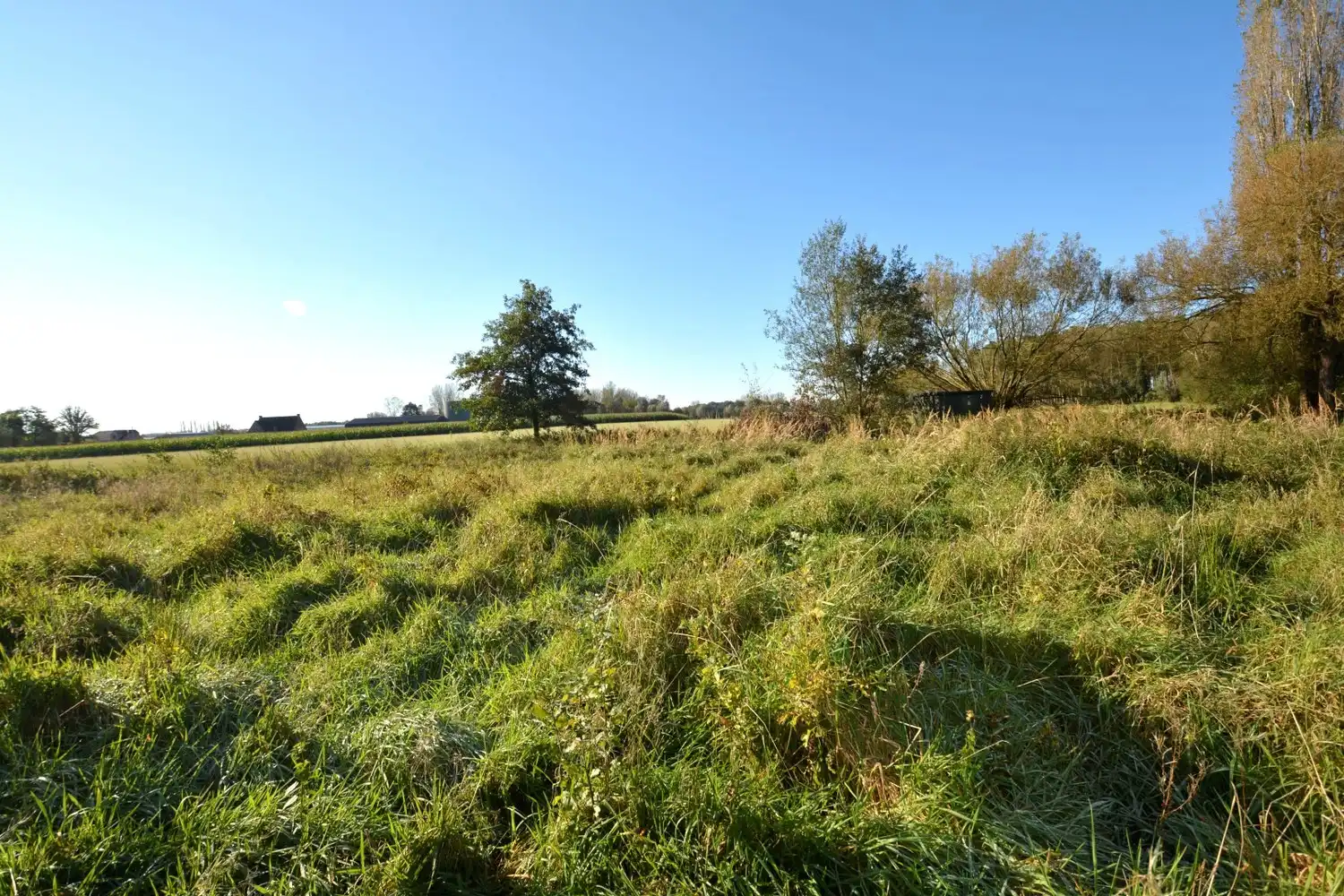 BOUWGROND 1.232 m² VOOR OPEN BEBOUWING! foto 9