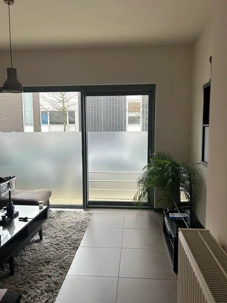 Mooi gelijkvloers appartement vlakbij Scheldekaaien  foto 3