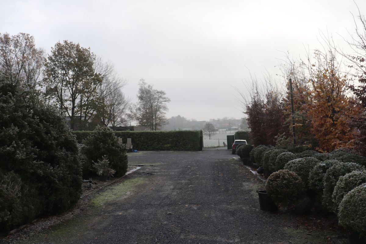 Plantenkwekerij te koop te Zwevegem foto 13