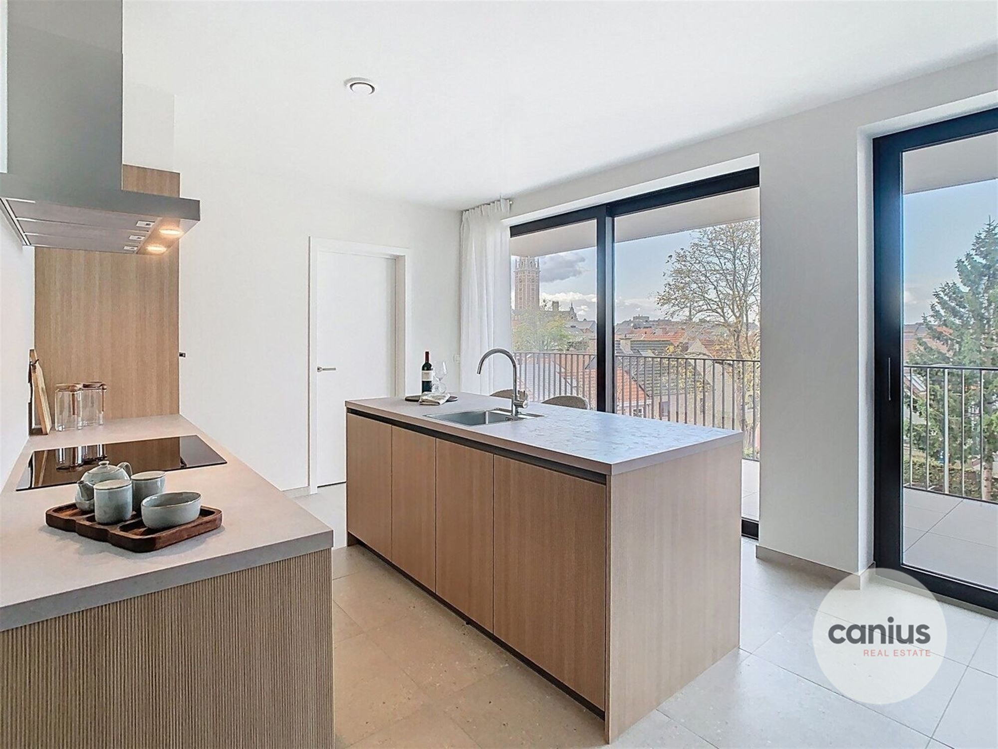 RUIM APP. MET 3 SLPKS EN TERRAS foto 5