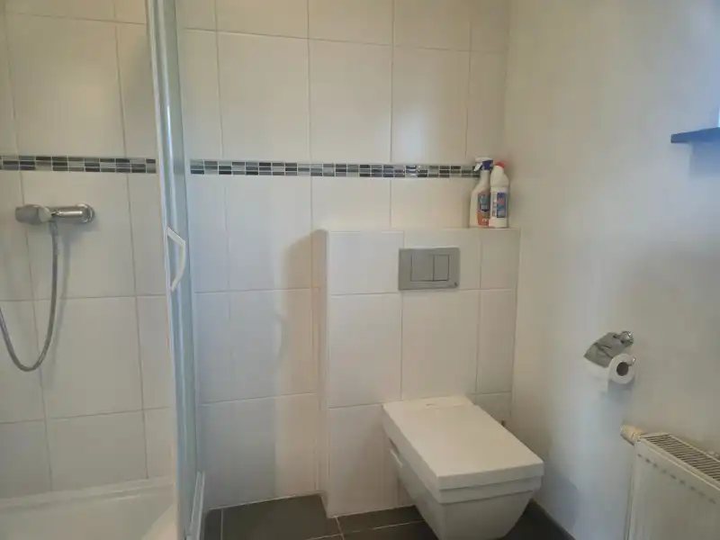 RUIME OPEN BEBOUWING MET 5 SLAAPKAMERS TE HUUR IN WACHTEBEKE foto 11