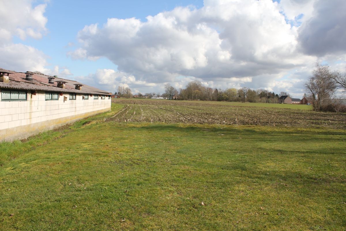 Hoeve met stallen en landbouwgrond te koop te Weelde foto 7