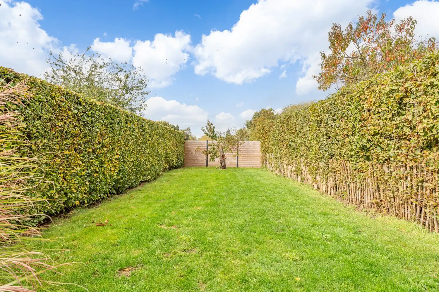 Gerenoveerde en lichtrijke halfopen bebouwing met 3 ruime slaapkamers, een garage, een oprit en een tuin grenzend aan agrarisch gebied te Herent! foto 11