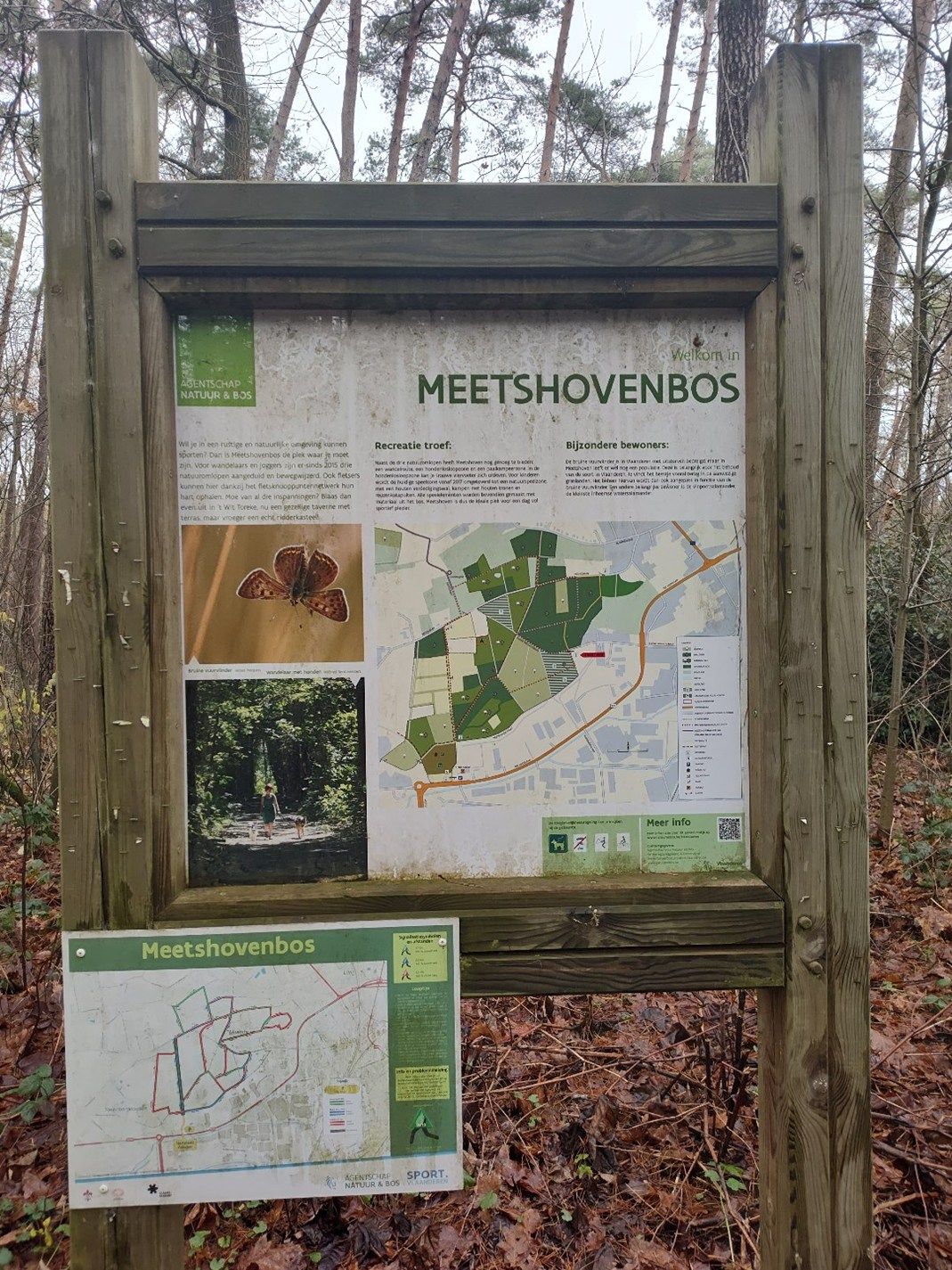 AARSCHOT - landhuis met 6 slks op 19a foto 24