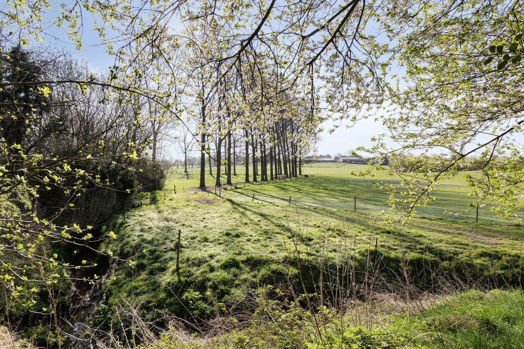 Uitzonderlijk perceel bouwgrond met afgebrande woning foto {{pictureIndex}}