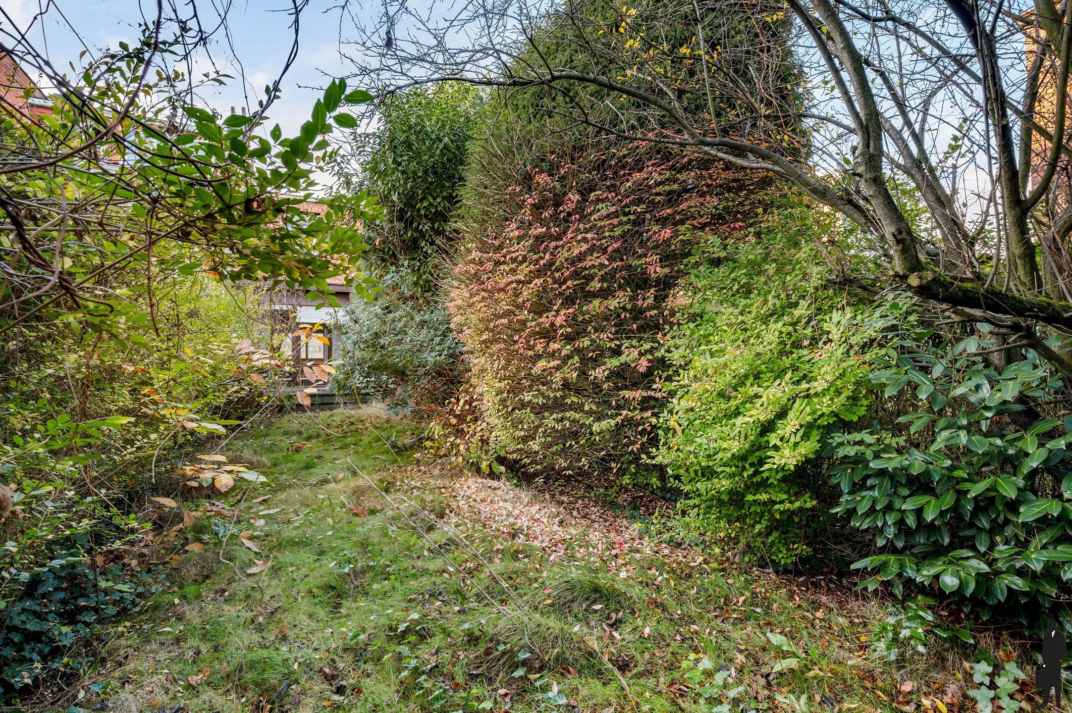 Gezinswoning met ruime tuin te Wilrijk foto 6