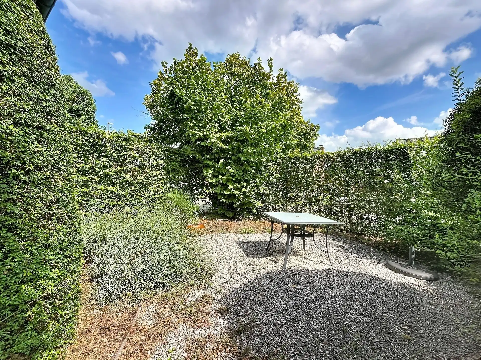 Recente open bebouwing met 5 slaapkamers! foto 25