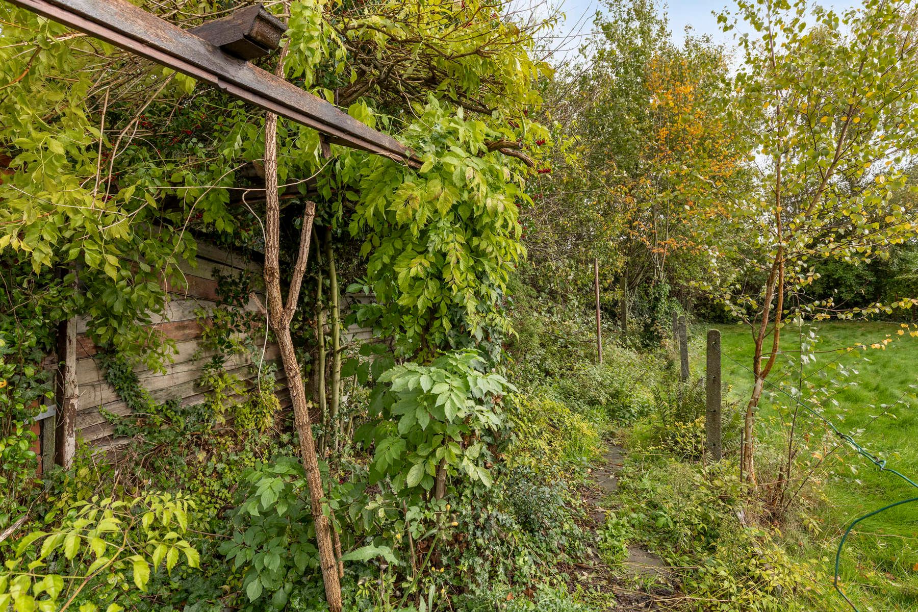 Te renoveren woning met ruime tuin. foto 10