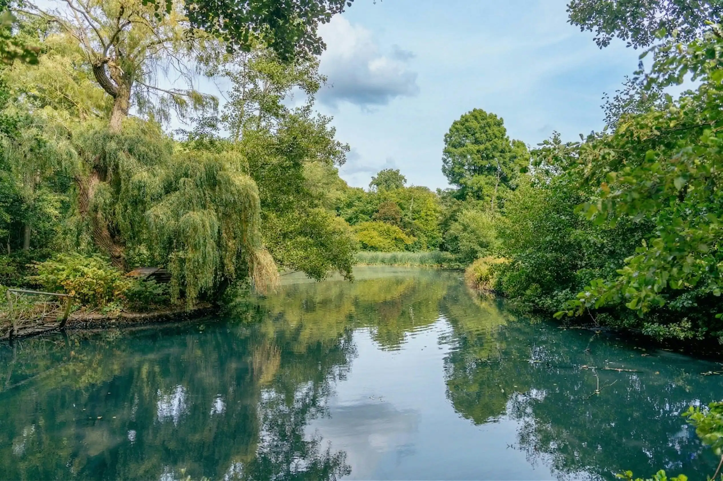 Uniek historisch kasteel op 9 hectare te koop in Geluveld foto 24