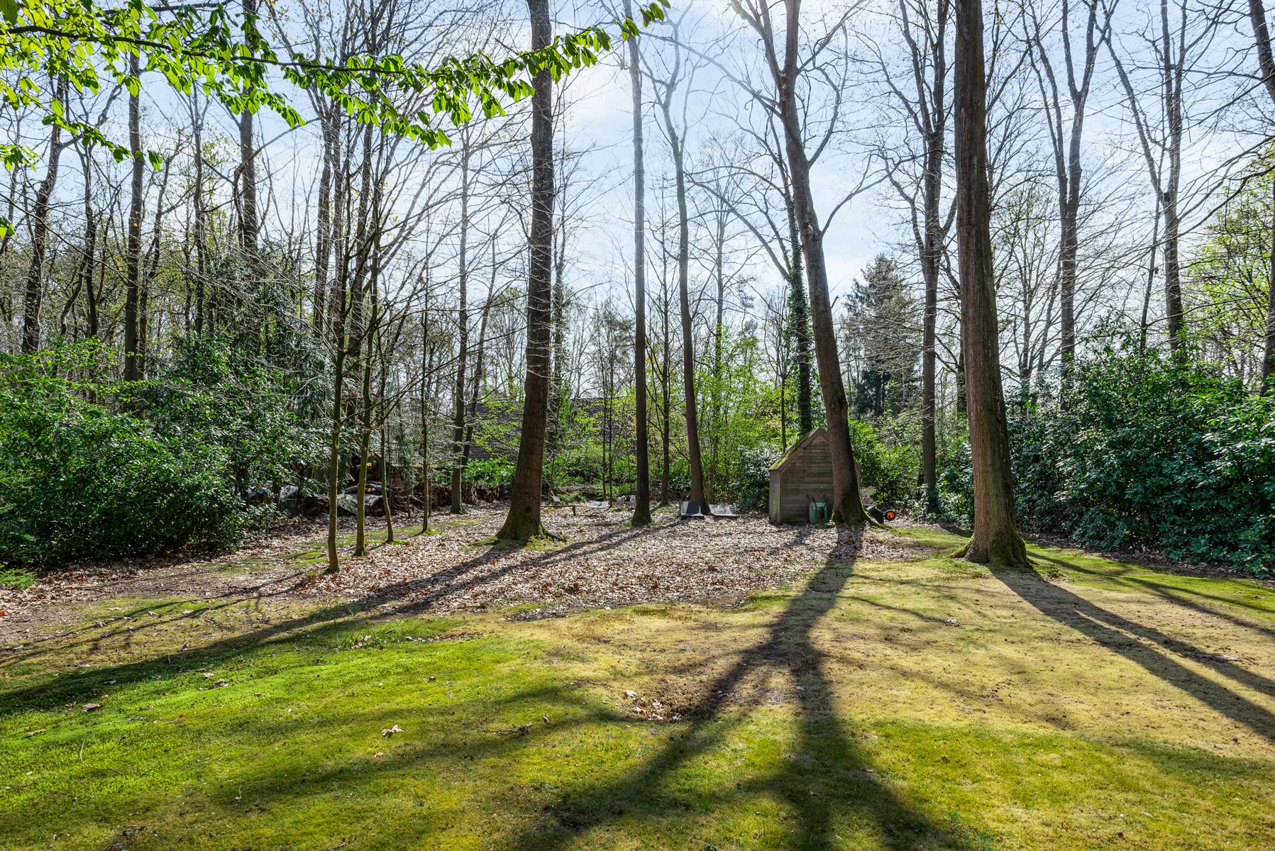 Moderne villa vlakbij het park van Halle Zoersel op 2.933m². foto 26