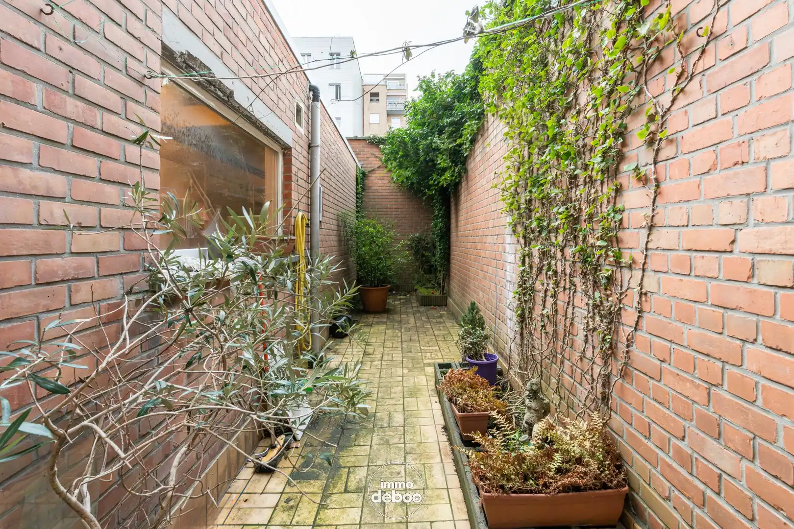 Gelijkvloers appartement met ruime koer vlakbij zee foto 3