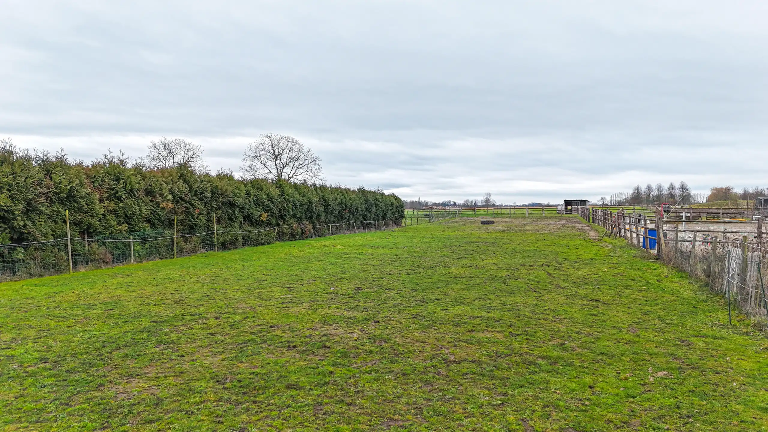 Landelijk gelegen te renoveren hoeve op ruim perceel! foto 29