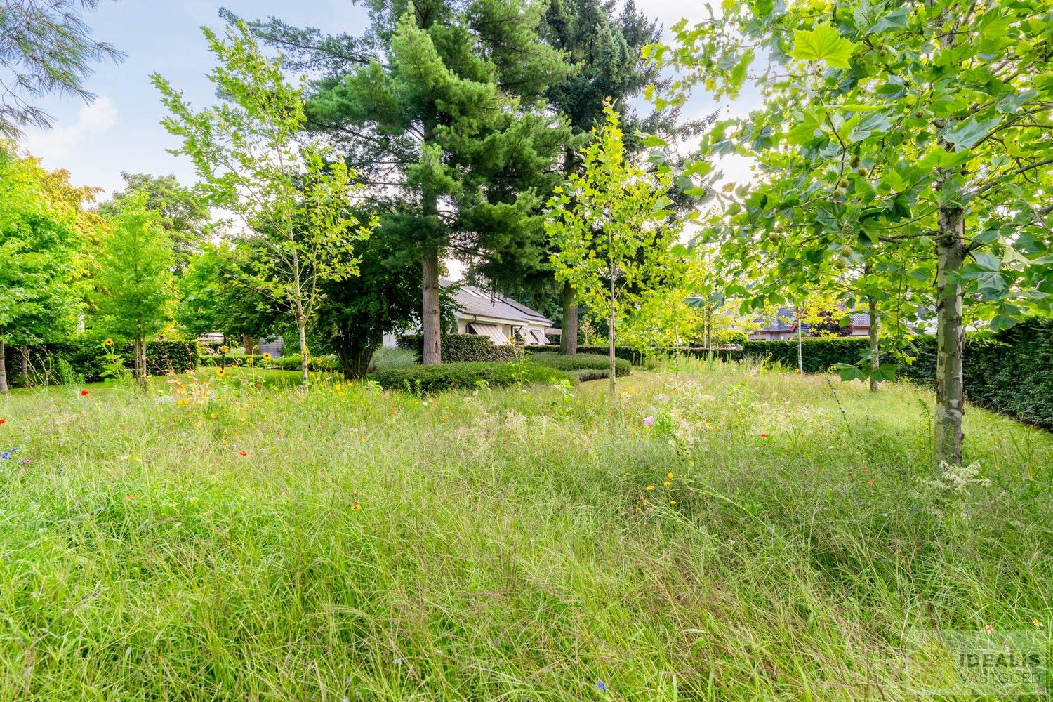 PRACHTIGE VILLA MET SCHITTERENDE ROYALE LEEFRUIMTES, UITGERUSTE KEUKEN, 2 BADKAMERS, 3 SLAAPKAMERS, CARPORT VOOR 2 WAGENS EN KNAP AANGELEGDE TUIN. DEZE KNAPPE VILLA OP EEN RESIDENTIELE LOCATIE BESCHIKT OP DE GELIJKVLOERSE VERDIEPING OVER EEN ROYALE INKOMHAL, RUIME LEEFRUIMTE MET AANSLUITEND EETKAMER EN PRAKTISCH UITGERUSTE LEEFKEUKEN MET EEN BIJKEUKEN/WASPLAATS MET TOEGANG TOT TERRAS, BADKAMER EN 2 SLAAPKAMERS; OP DE VERDIEPING BESCHIKT DE WONING OVER EEN PRACHTIGE MASTERBEDROOM MET AANSLUITEND EEN LUXUEUZE BADKAMER. EEN ‘MUST SEE’ VOOR KOPERS OP ZOEK IN HET MOOIE SEGMENT! foto 27