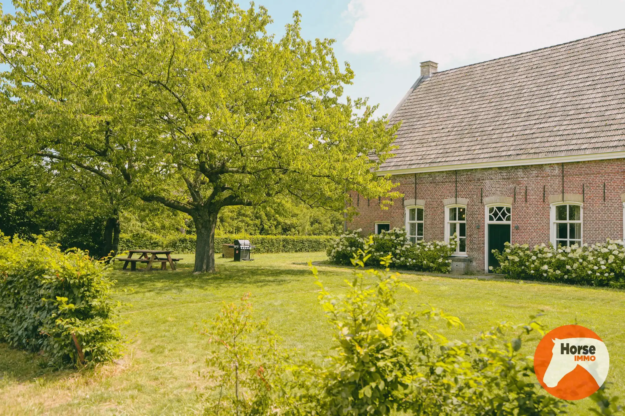 AXEL - Hoeve op een goede locatie met paardenfaciliteiten foto 57